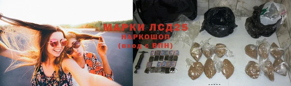 сатива Зеленодольск