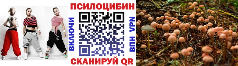 Псилоцибиновые грибы мицелий  Шимановск 
